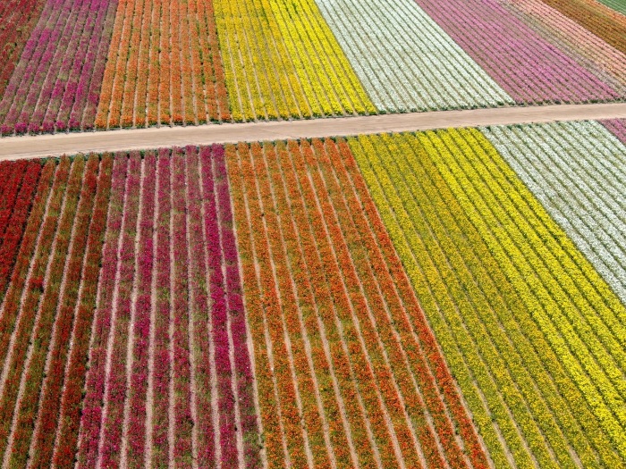 insight featured image