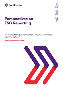Perspectives on  ESG Reporting