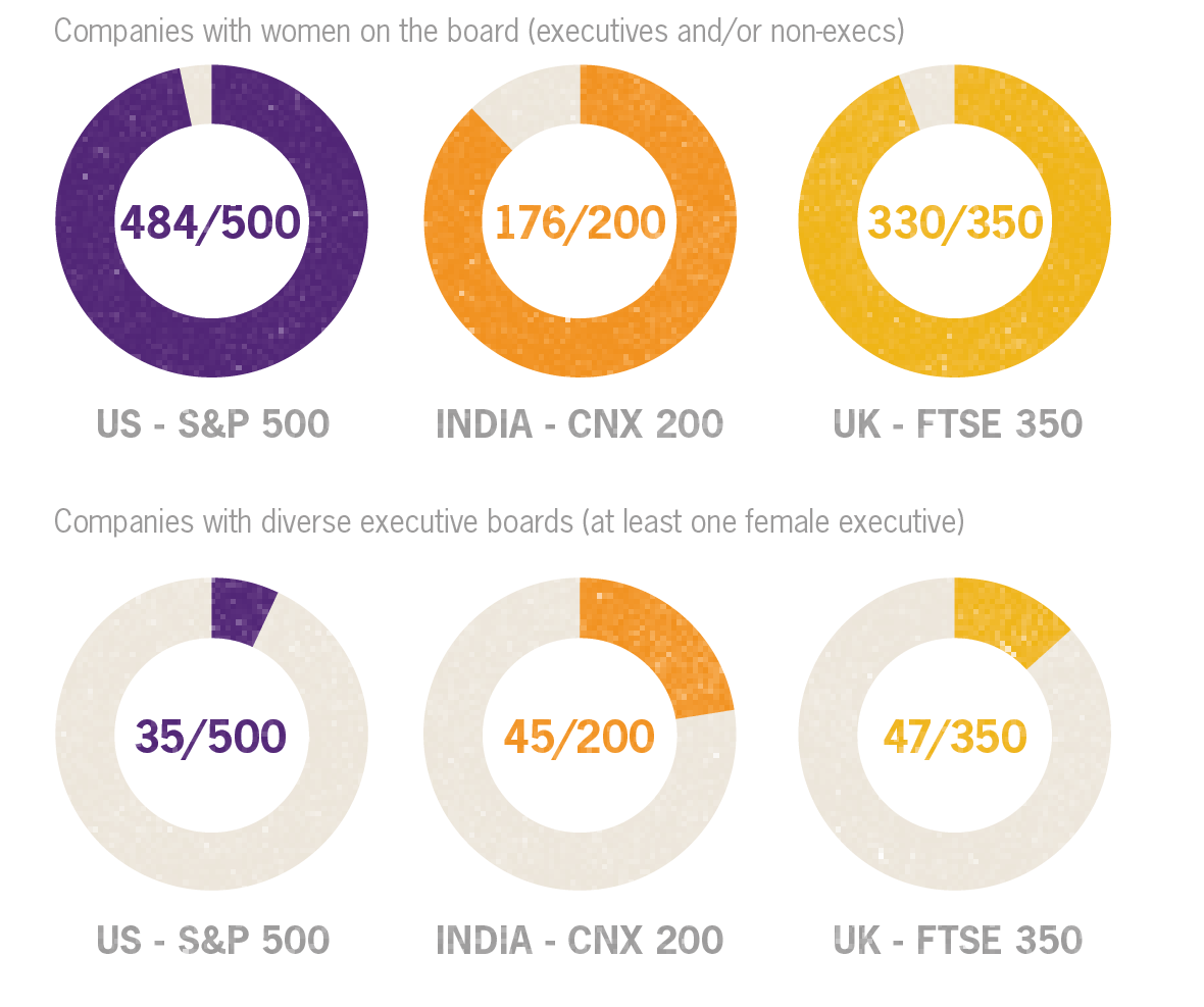 Comapnies with diverse boards in the US India and the UK Comapnies with diverse boards in the US India and the UK