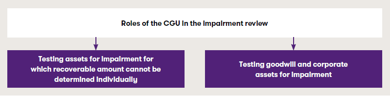 Roles of CGU.PNG