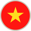 Transfer pricing - Vietnam